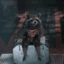 Raccoon sticker 12