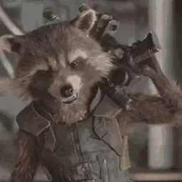 Raccoon sticker 4