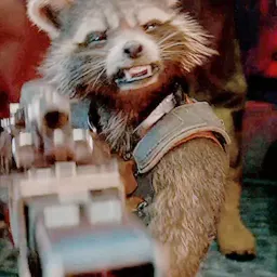 Raccoon sticker 7