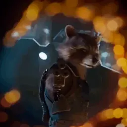 Raccoon sticker 8