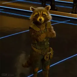 Raccoon sticker 9