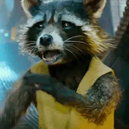 Raccoon sticker 10