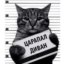 Кот Рецидивист Telegram sticker pack