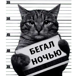 Кот Рецидивист sticker 2
