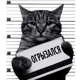 Кот Рецидивист sticker 11