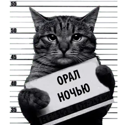 Кот Рецидивист sticker 12