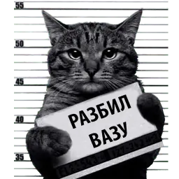 Кот Рецидивист sticker 3