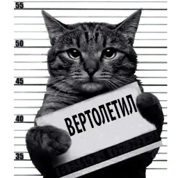 Кот Рецидивист sticker 4