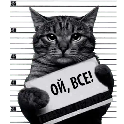 Кот Рецидивист sticker 5