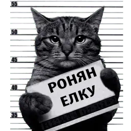 Кот Рецидивист sticker 6