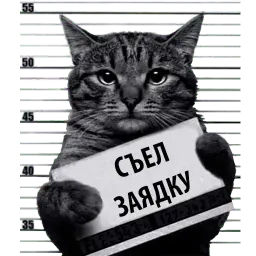 Кот Рецидивист sticker 7