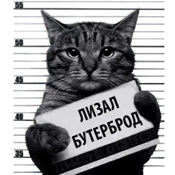 Кот Рецидивист sticker 8