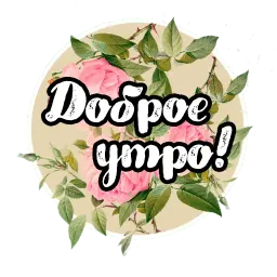 Roses Telegram sticker pack