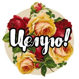 Roses sticker 8