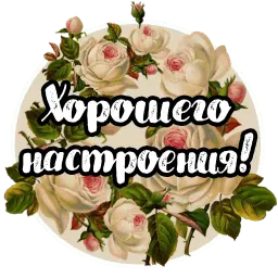 Roses sticker 10