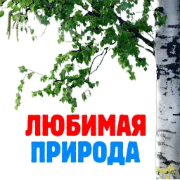 Россия sticker 5