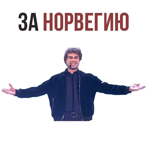 Александр Рыбак sticker 10