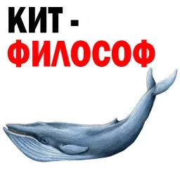 ? Кит Философ Telegram sticker pack