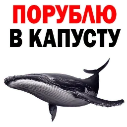 ? Кит Философ sticker 2