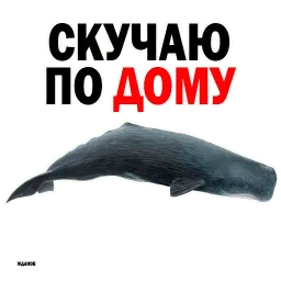 ? Кит Философ sticker 12