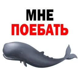 ? Кит Философ sticker 3