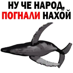 ? Кит Философ sticker 4