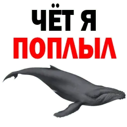 ? Кит Философ sticker 6