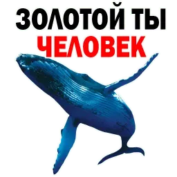 ? Кит Философ sticker 7
