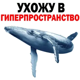 ? Кит Философ sticker 8