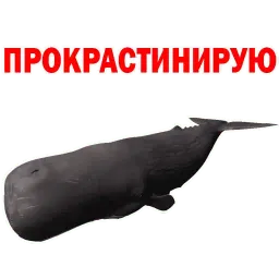 ? Кит Философ sticker 9