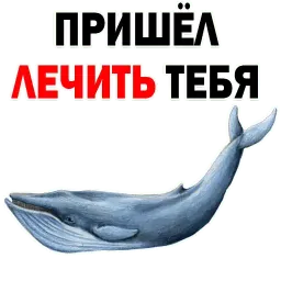 ? Кит Философ sticker 10