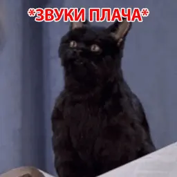 Кот Салема sticker 12