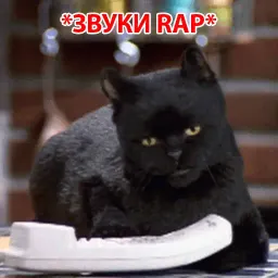 Кот Салема sticker 4