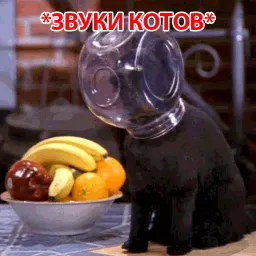 Кот Салема sticker 5