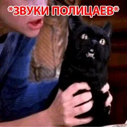 Кот Салема sticker 7