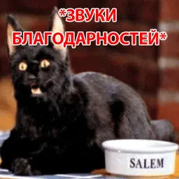 Кот Салема sticker 8