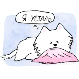 Самоедик Ачи sticker 2