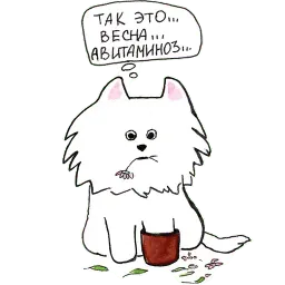 Самоедик Ачи sticker 8