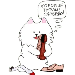 Самоедик Ачи sticker 9