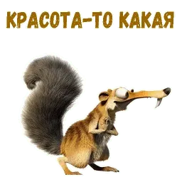 Скрат sticker 11
