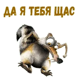 Скрат sticker 12
