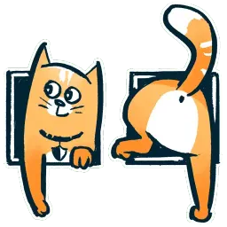 Шифрокот sticker 12