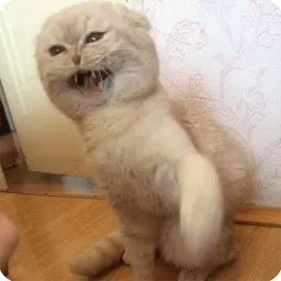 Животные sticker 2