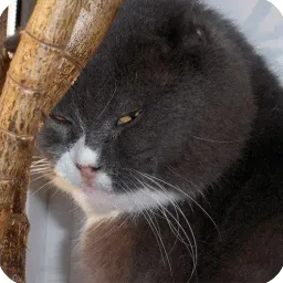 Животные sticker 12