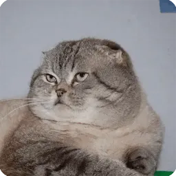 Животные sticker 4