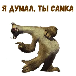 Ленивец Сид sticker 6