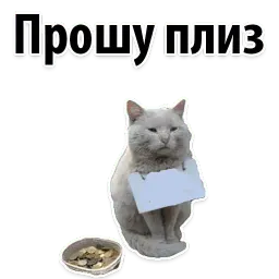 Подпишись, пожалуйста sticker 2