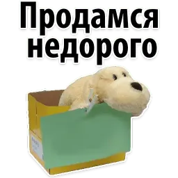 Подпишись, пожалуйста sticker 12