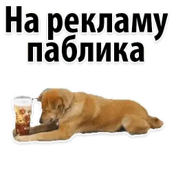 Подпишись, пожалуйста sticker 3