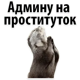 Подпишись, пожалуйста sticker 4